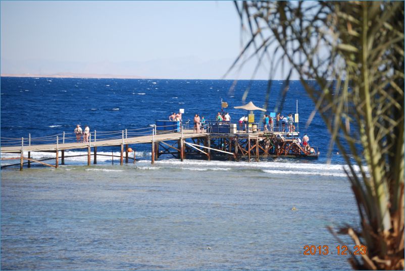 sharm 12 067